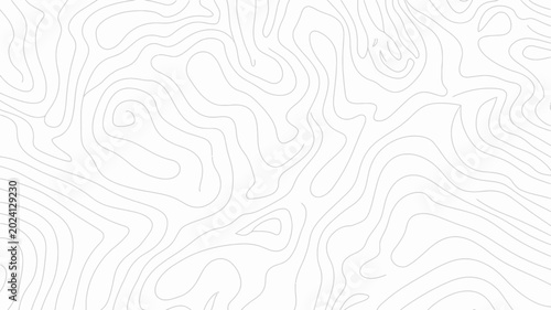 Abstract Topographic Line Pattern