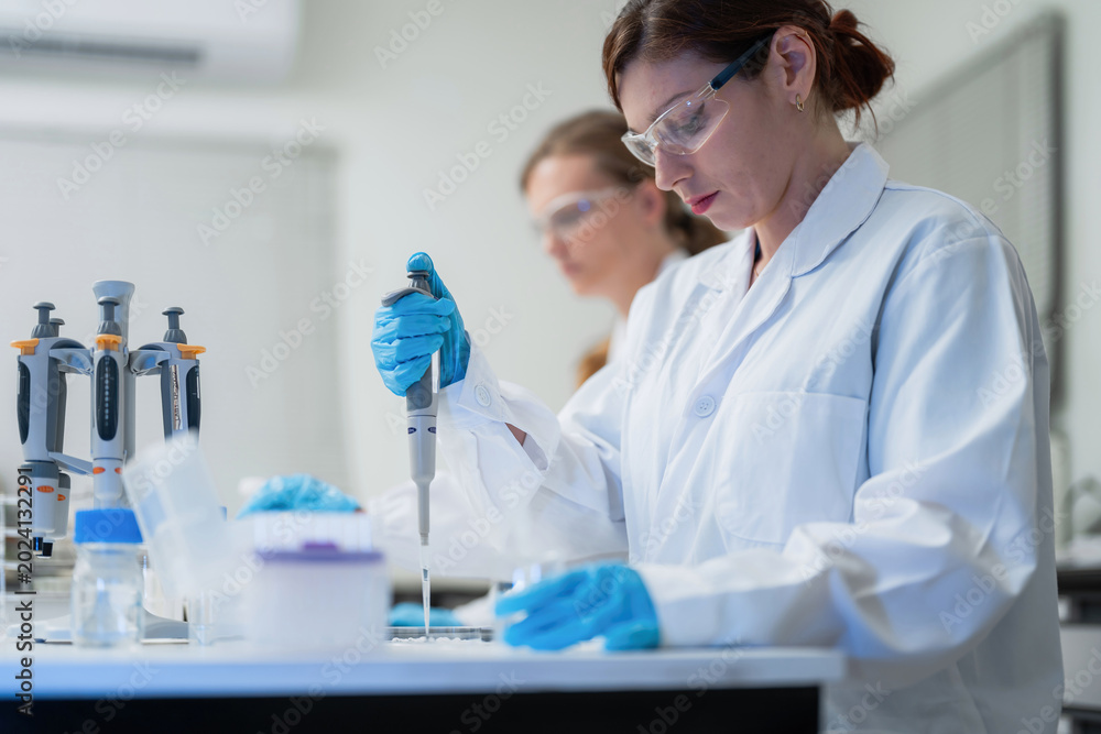 Fototapeta premium Female scientist using pipette with sample tube in laboratory, medical research specialist working on scientific experiment, clinical biotechnology analysis, pharmaceutical development concept.