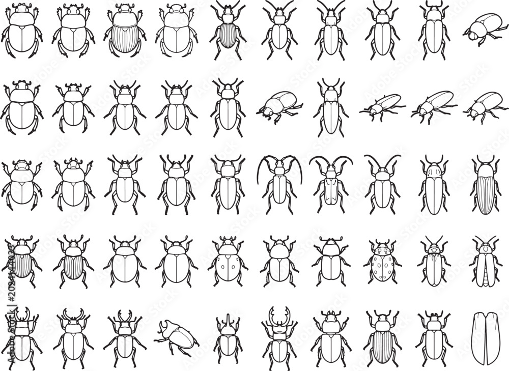 Obraz premium A collection of various insect illustrations, presented in a clean, minimalist line art style, showcasing a diverse range of beetle species and other small arthropods.