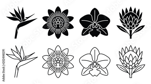 Bild auf Leinwand Set of tropical flowers icons, bird of paradise, passion flower, orchid and prot