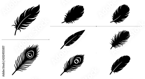Bild auf Leinwand Set of 9 Black Feather Silhouettes, Diverse Quill and Down Styles, Elegant Ornit