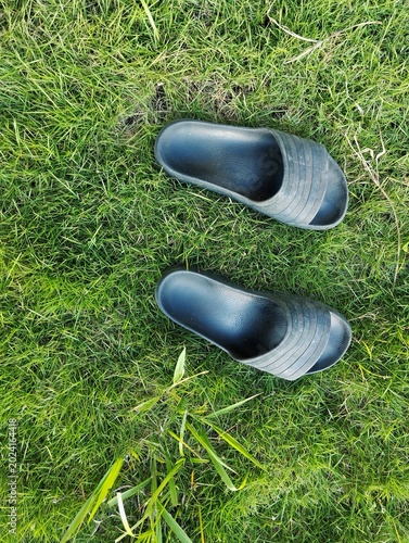 Slippers on grass
