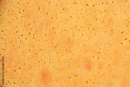 Macro background of a golden baked shortbread biscuit surface showing a crumbly porous texture made from butter flour and sugar.