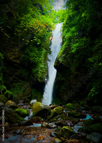 Kanchenjunga Waterfall in West Sikkim, India - A majestic, gushing cascade flowing through lush Himalayan greenery and mossy rocks.