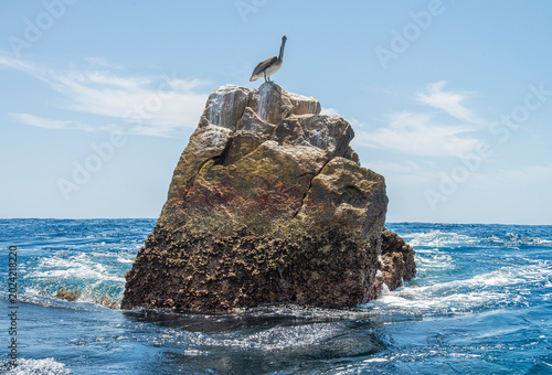 Cabo San Lucas Baja Califronia Sur, MEXICO, lugar turistico famoso en el sur de la peninsula. la ultima roca de la peninsula FINISTERRA