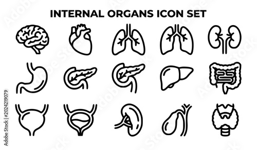 Schilderij op canvas Internal organs icon set medical illustrations
