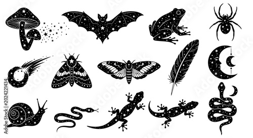 Εκτύπωση καμβά Black silhouette creepy creatures icons, 16 nocturnal animal symbols, moon phase