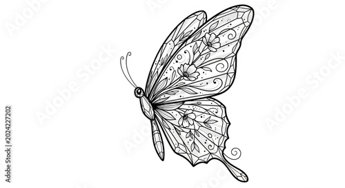 Detailed drawing of a butterfly.