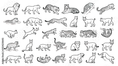 Obraz na plátně Wild cat line art collection, 30 hand drawn feline icons, black and white big ca