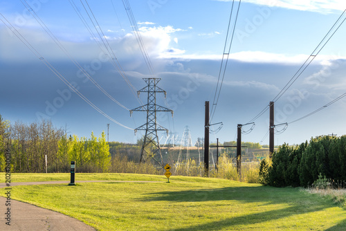 Electric power corridor in low evening sunlight, with vivid fresh green grass in the foreground.