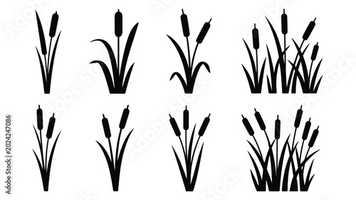 Tableau sur toile Set of cattail silhouettes with bulrush reed plants marsh grass tufts black vect