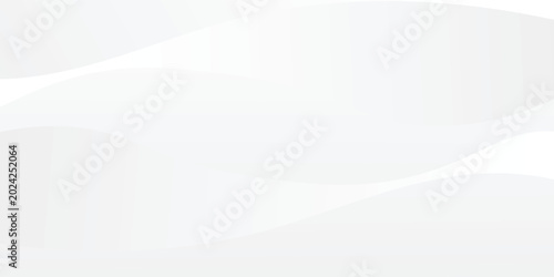 Vászonkép white abstract background modern vector illustration