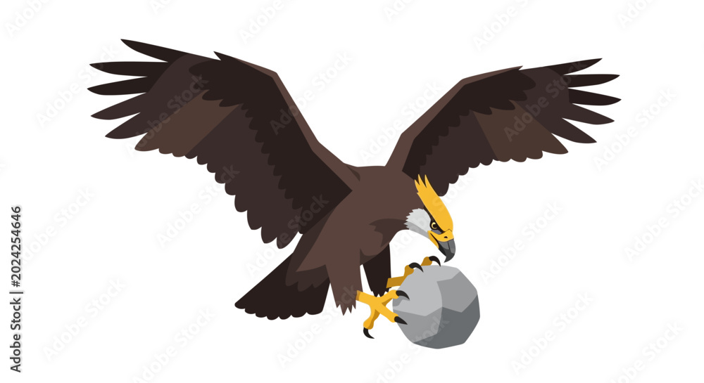 Fototapeta premium Bald Eagle Catching and Dropping Fish in Flight
