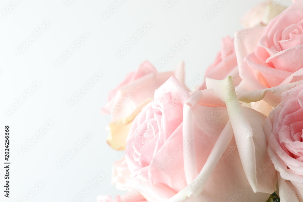 Fototapeta premium Close-up of a bouquet of pink roses 