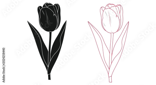 Konstfotografi Tulip flower silhouette with line art variation black and pink