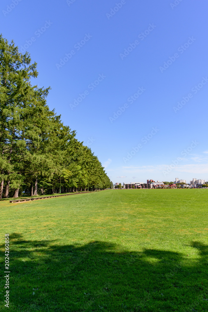 Fototapeta premium 帯広 緑ヶ丘公園400mベンチ