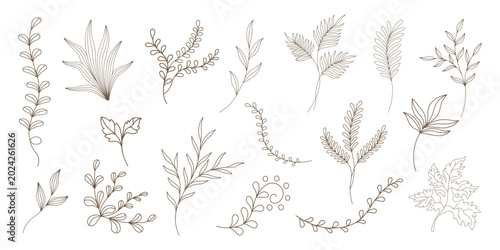 Bild auf Leinwand This set of leaves, designed in a doodle style with brown lines, is easy to arra