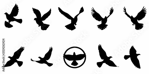 Photography flying birds silhouettes collection on white background