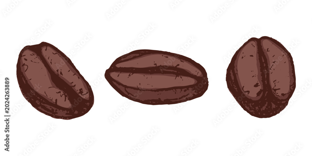 Fototapeta premium Set of hand drawn fresh roasted coffee bean Arabica robusta seed doodle Single element for design print packaging label decor