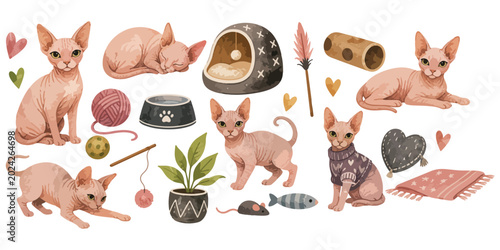 Obraz na płótnie watercolor cute Sphynx cat collection