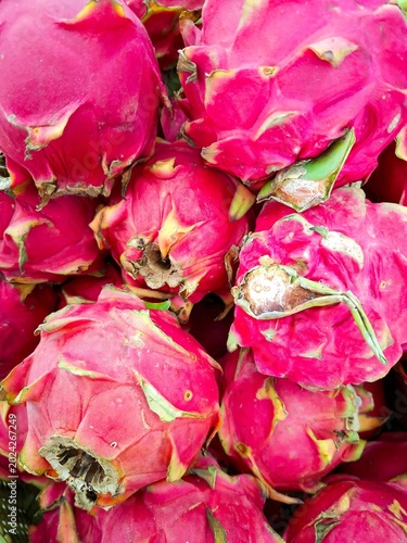 Fotografia A dense heap of pink dragon fruits displays scale-like green bracts and slightly dried woody stem bases