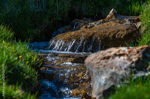 Close-up of a small mountain stream flowing over mossy rocks and stones in a lush green natural environment.