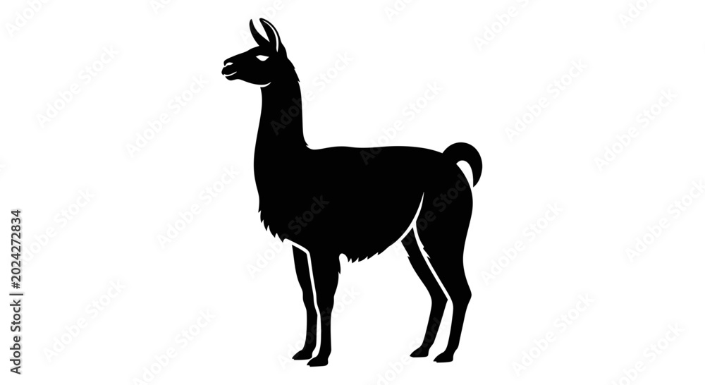 Fototapeta premium Black Silhouette of a Llama Standing Isolated on White Background