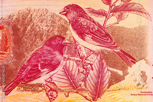 Foto 20000 Bolivares, Venezuela banknote fragment
