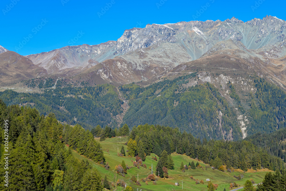 Obraz premium Alpines Bergpanorama mit terrassierten Wiesen und Nadelwald bei Nauders, Tirol