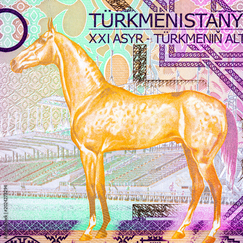 Foto 50 Turkmenistani Manat Banknote with Akhal-Teke Horse and stadium