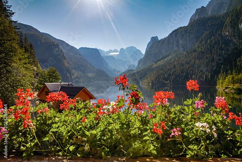 Bright red flowers frame a calm alpine lake, wooden cabin, and dramatic mountain valley in Gosau, Austria.