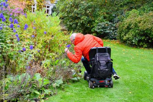 Man on a mobility scooter stops to smell the flowers as he enjoys the freedom and independence the scooter gives him to get out and about despite his disability.
