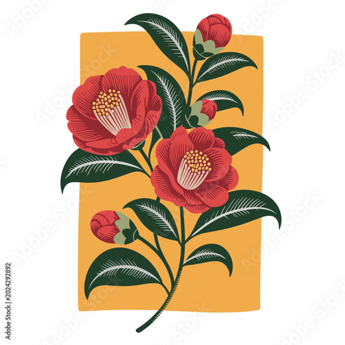 Vibrant red camellia flowers, floral illustration, botanical art, vector graphics