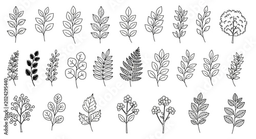 Black and white leaf icons, leafy botanical illustrations, 25 leaf graphics, vector foliage set