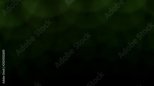 A high-density array of shimmering green and blue defocused bokeh circles transitions smoothly.