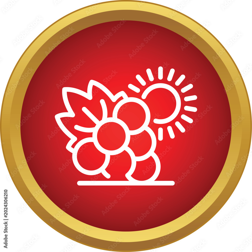 Obraz premium Grape cluster and sun icon representing viticulture, harvest, and wine production
