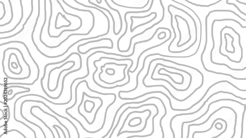 Fototapeta premium Minimalist Abstract Topographic Map Pattern Gray Contour Lines on White Background