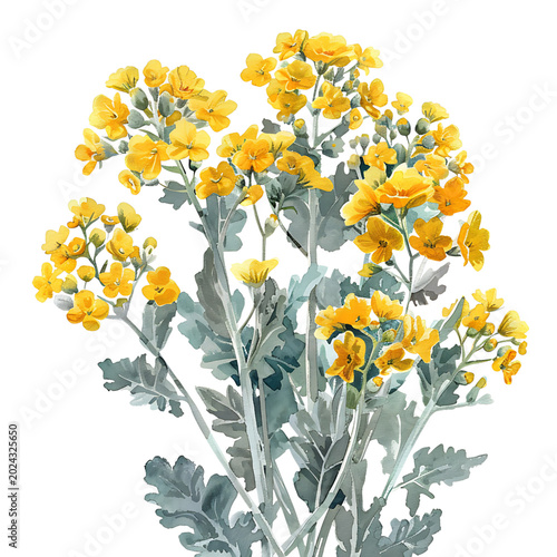 Watercolor Yellow Flowering Plant on transparent background