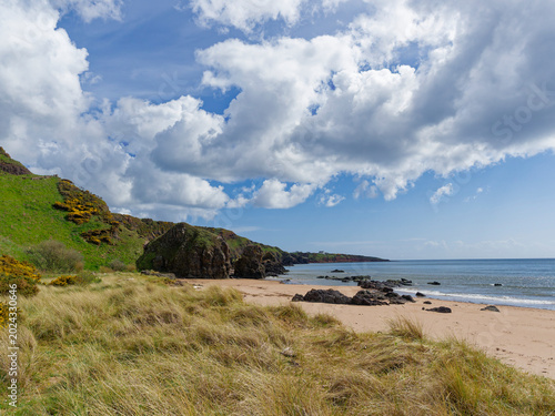 Принти на полотні The Rocky outcrops at the north end of St Cyrus Beach with the sandy beach exposed by the receding tide under a blue Sky with white clouds