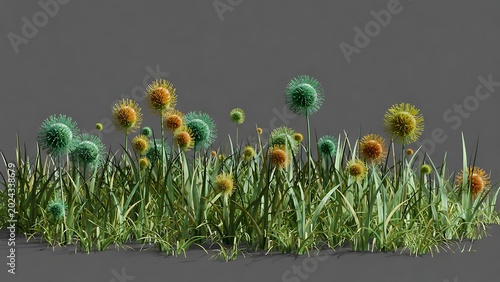 Vibrant Colorful Spherical Plants with Lush Green Grass in Bright Display