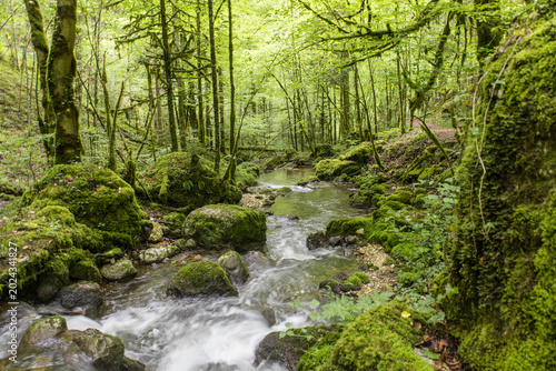 Foto Les gorges du Pichoux sont des gorges situées sur le territoire des communes du Petit-Val et de la Haute-Sorne, le long de la Sorne, dans les cantons Berne et du Jura, en Suisse