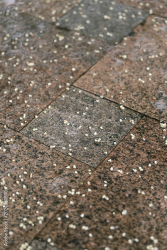 paving stone texture