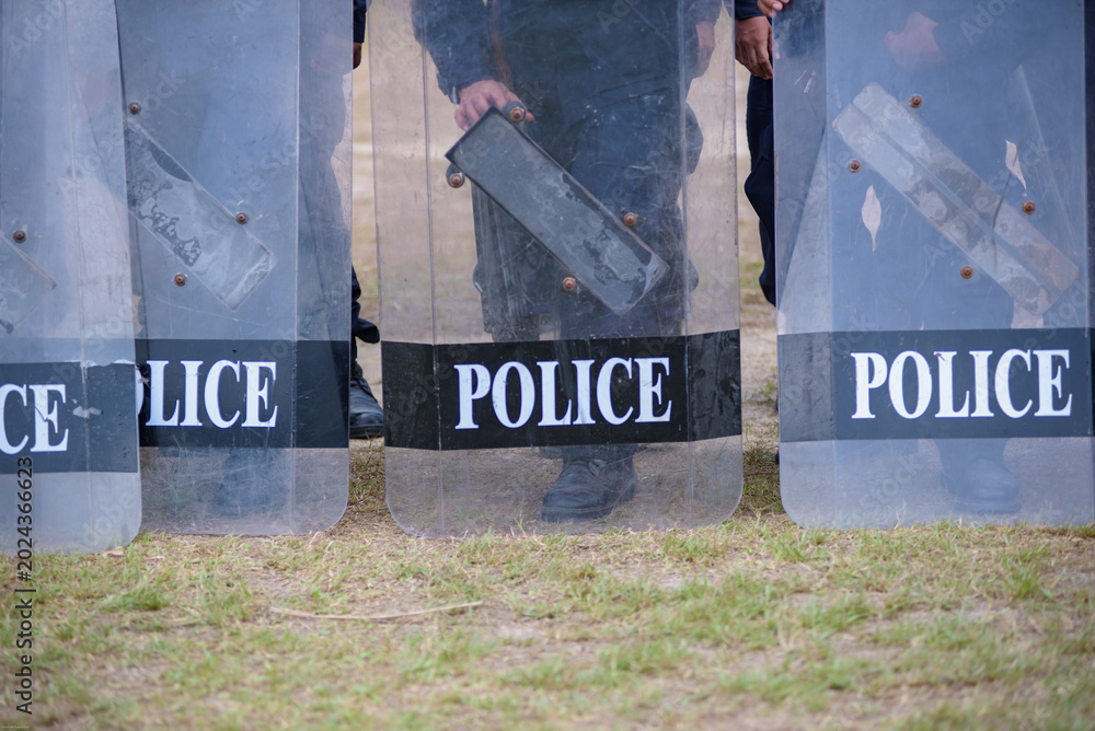 Fototapeta premium Riot police control the crowd practice and review on the grass field.