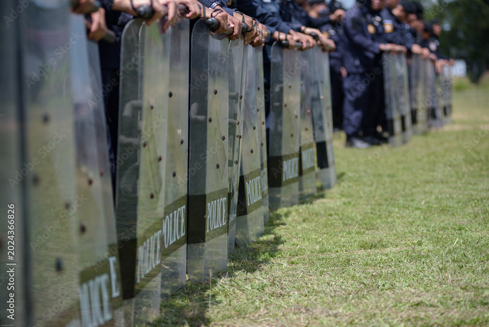 Fototapeta premium Riot police control the crowd practice and review on the grass field.