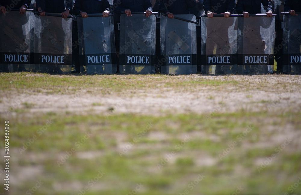 Fototapeta premium Riot police control the crowd practice and review on the grass field.