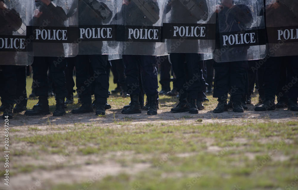 Fototapeta premium Riot police control the crowd practice and review on the grass field.