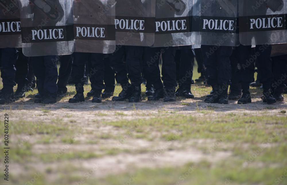 Fototapeta premium Riot police control the crowd practice and review on the grass field.