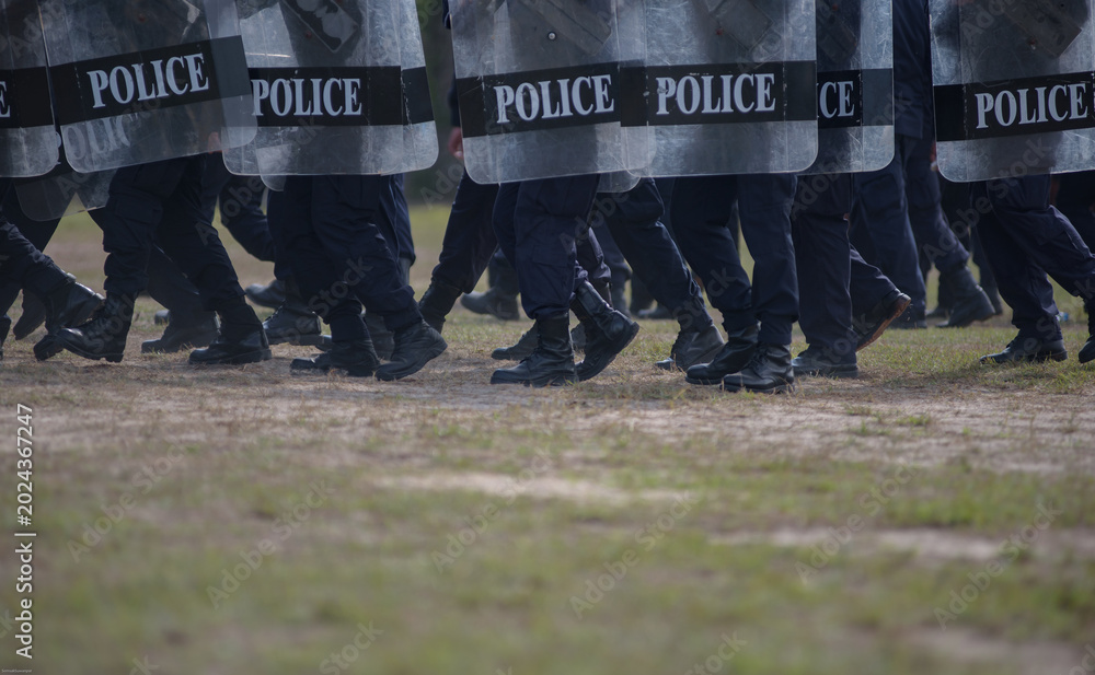 Fototapeta premium Riot police control the crowd practice and review on the grass field.