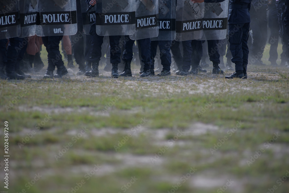 Fototapeta premium Riot police control the crowd practice and review on the grass field.