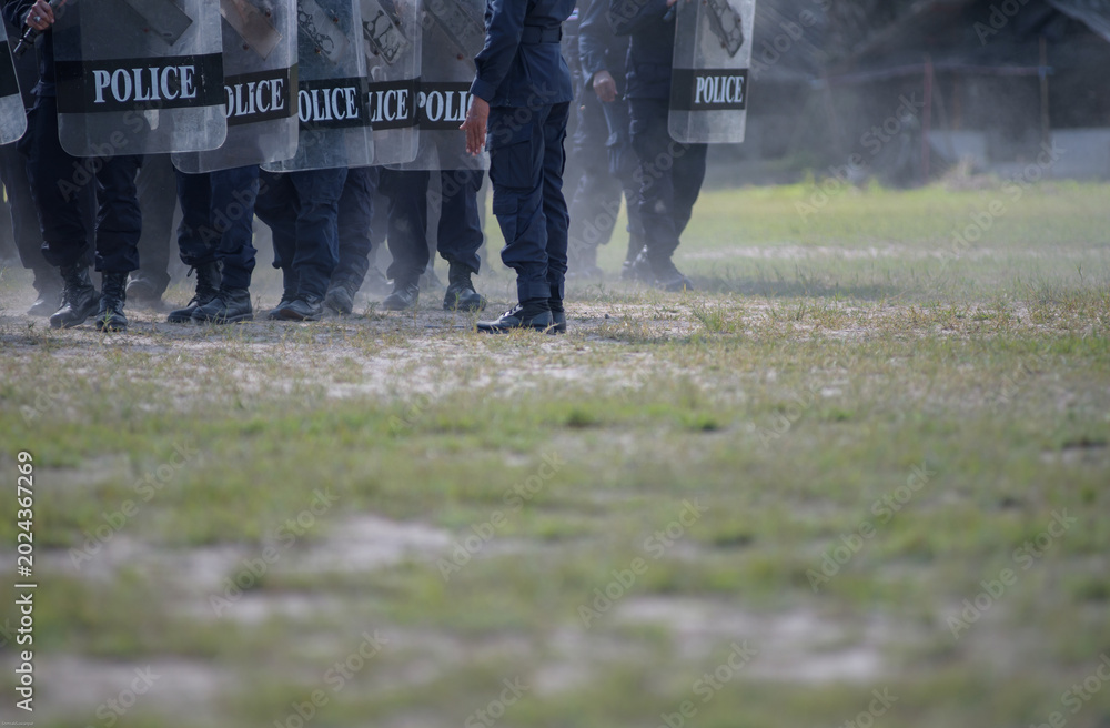 Fototapeta premium Riot police control the crowd practice and review on the grass field.